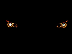 BMW cat angel eye headlights