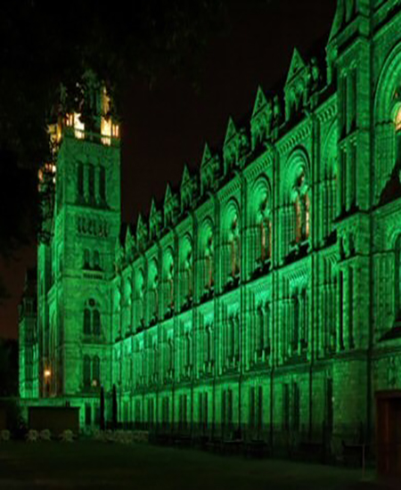 London naturual history museum